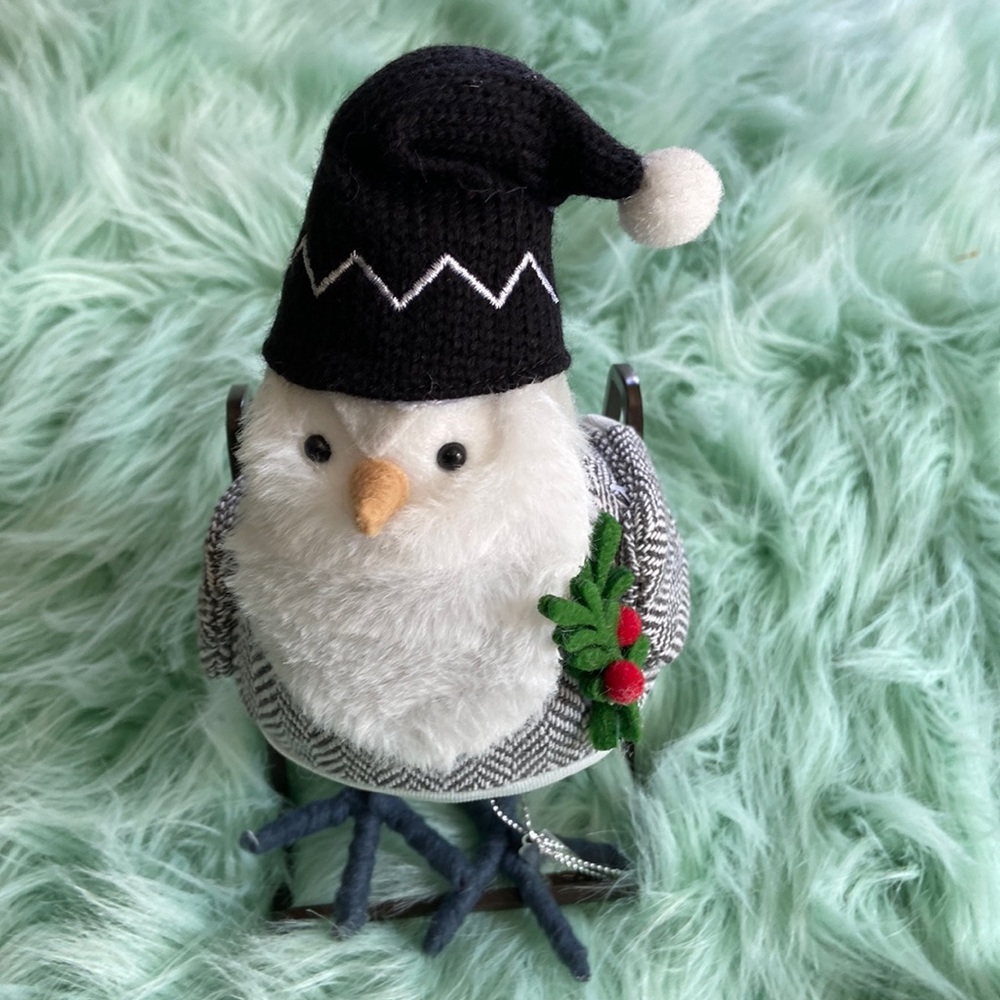 Target winter bird 2022 Iskall
